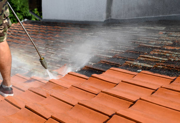 Best Pressure Washing Near Me  in Country Knolls, NY